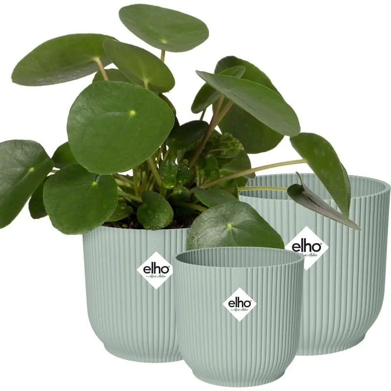 elho 3er Set vibes fold rund Sorbet Grün, 14cm, 16cm, 18cm