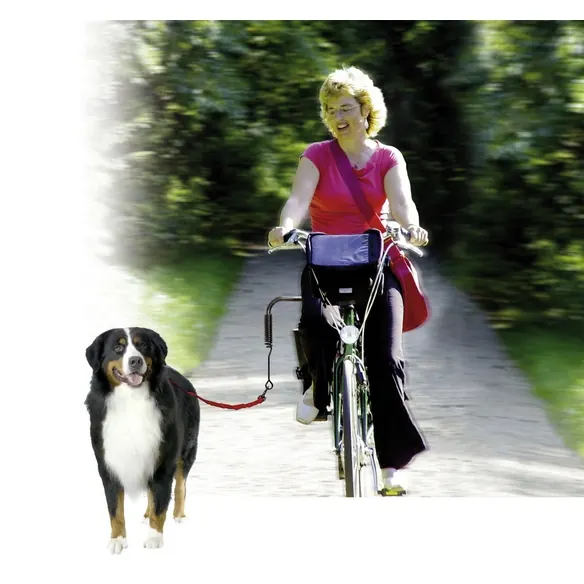 Fahrradzubehör, für Hunde, Metall, schwarz