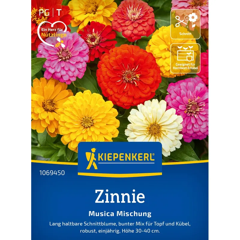 Kiepenkerl Zinnie Musica Msichung