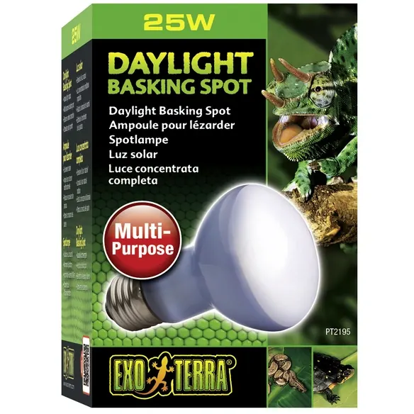 Terrarienbeleuchtung »Daylight«, BxH: 9,5 x 6,3 cm, 25 W, weiß