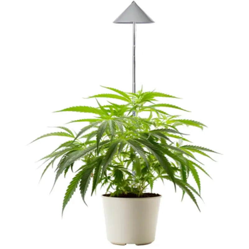 Venso CANNA SUNLiTE LED Pflanzenlampe 30 Watt, Anthrazit