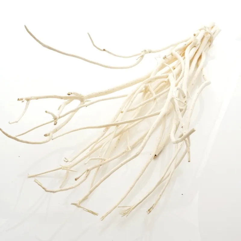 Zweige creme weiß Mitsumata L ca. 60 -70 cm VE 1 Bund 14-15 Stück